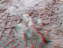 3D Dinosaur Tracks