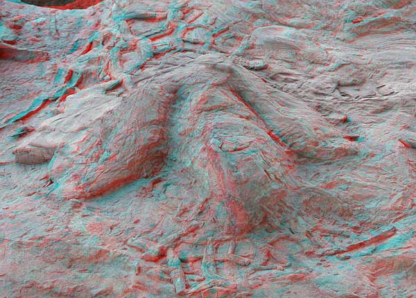 3D Dinosaur Track