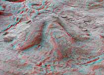 3D Dinosaur Tracks