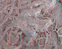 3D Dinosaur Tracks