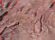3D Dinosaur Swimming Tracks