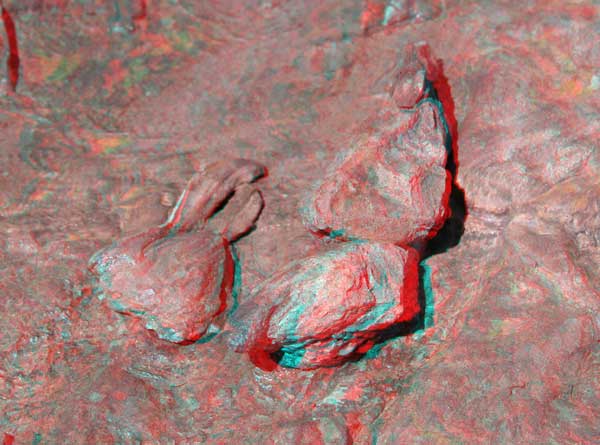Dinosaur Swimming Track