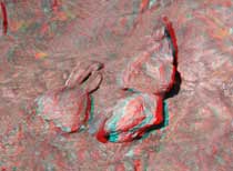 3D Dinosaur Swimming Tracks