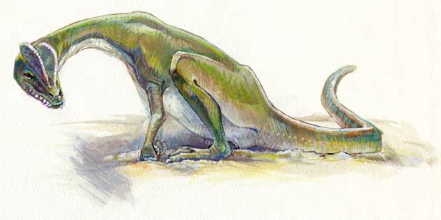 squatting dinosaur