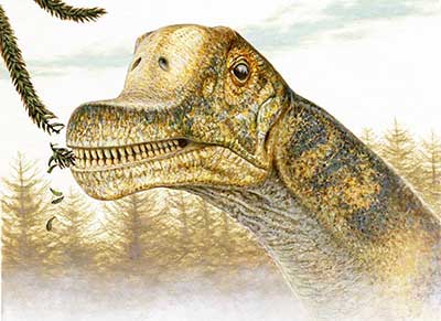 Abydosaurus