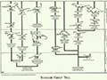 Dinosuar Classification