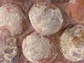 Dinosaur Eggs