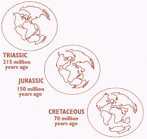 Drawing showing relative
positions of the continents during the age of dinosaurs