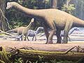 Mesozoic Era