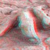 3-D Dinosaur Tracks