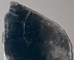 Muscovite