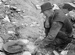 Gold Prospector
