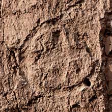 Petroglyph
