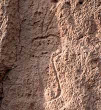 Petroglyph