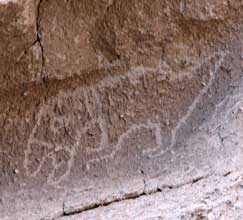 Petroglyph