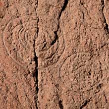 Petroglyph