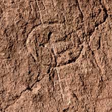 Petroglyph