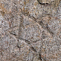 6 sided star petroglyph