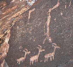 Puerco Petroglyphs