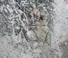 Human Pictograph