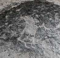 Petroglyph