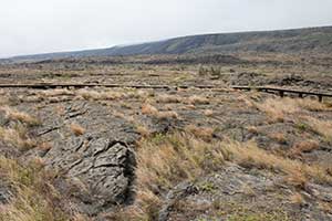 Pu`uloa Petroglyphs