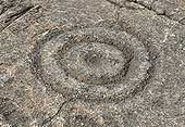 Pu`uloa Petroglyphs