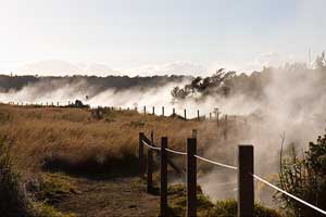 Steaming Bluff
