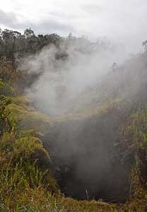 Steaming Vents