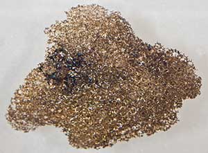 Reticulite