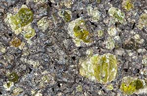 Olivine-Rich Lava