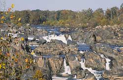 Great Falls