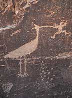 Petroglyph