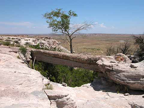 Agate Bridge