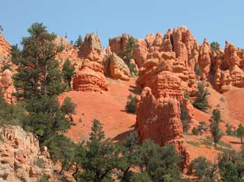 Red Canyon