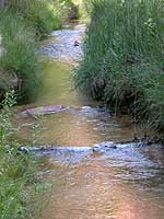 Calf Creek