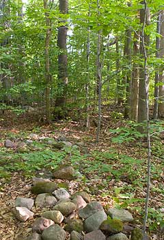 Stone Fence