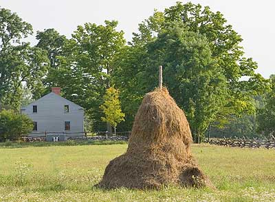 Smith Farm