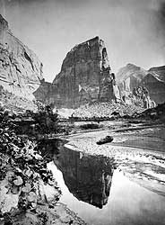 Zion - Powell Survey