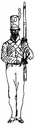 Black Soldier