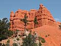 Red Canyon