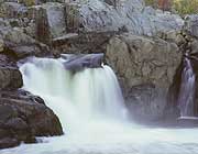 Park Photos