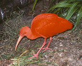 SIA0025