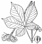 SIA0402