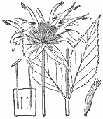 SIA0410
