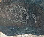 SIA1208